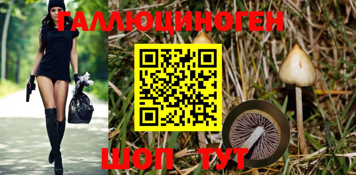 Псилоцибиновые грибы мицелий  Вход с VPN  Карабулак 
